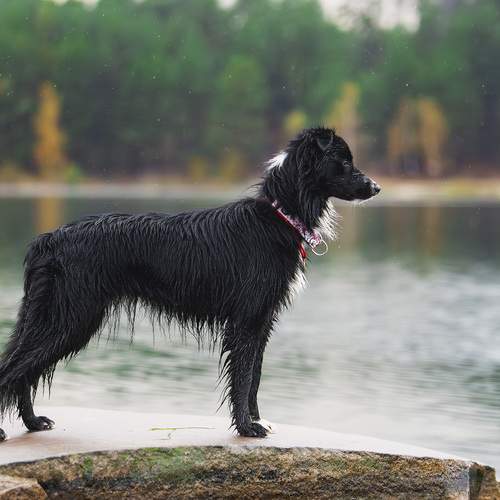 Photo #12784661