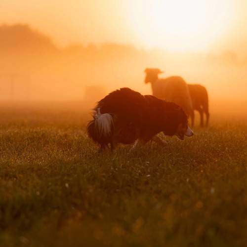 Photo #12784667