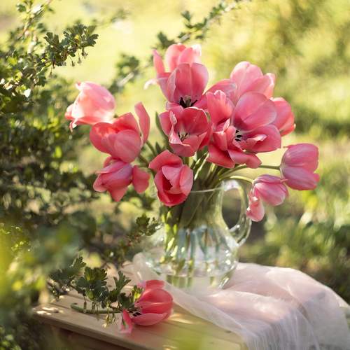 Photo #12784745