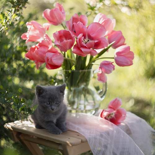 Photo #12784757