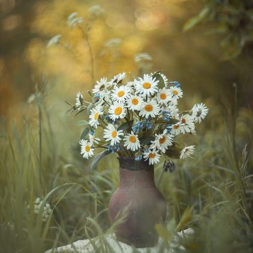 Photo #12784766