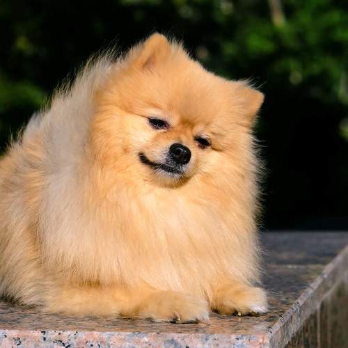 Photo #12784779