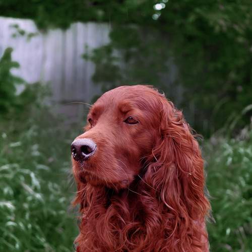 Photo #12784780