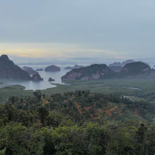 Tai