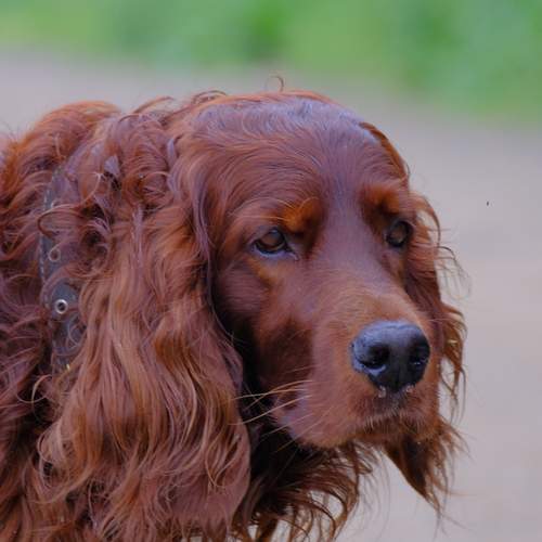 Photo #12784782