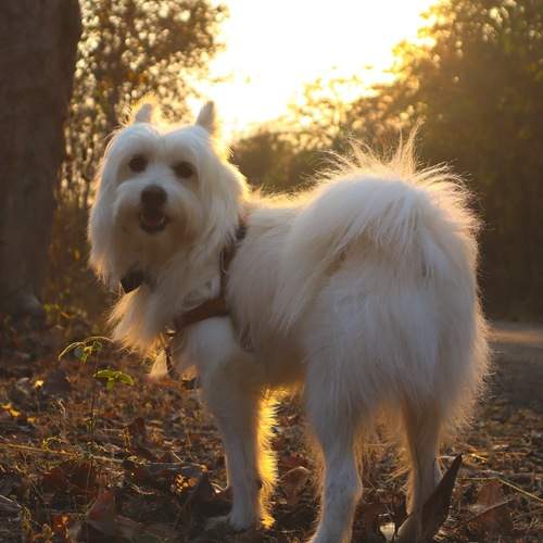 Photo #12784918