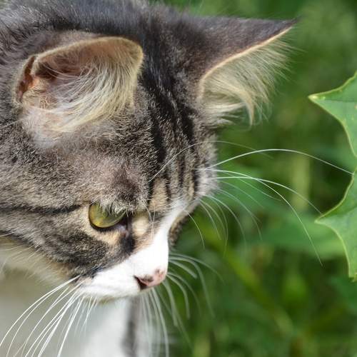 Photo #12784946