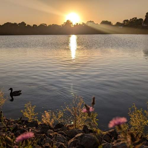 Photo #12785187