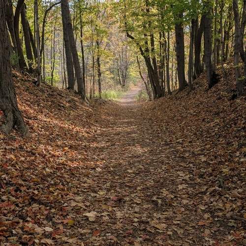 Photo #12785190