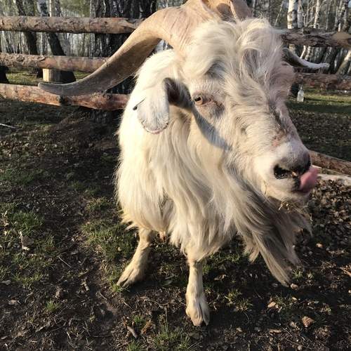Photo #12785407