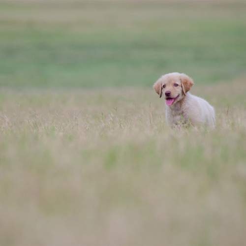 Photo #12785451