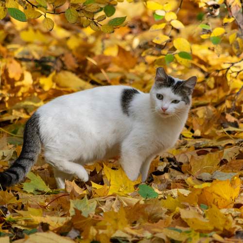 Photo #12785515