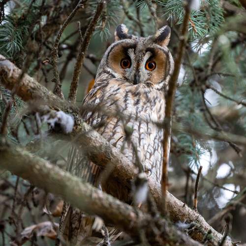 Photo #12785647