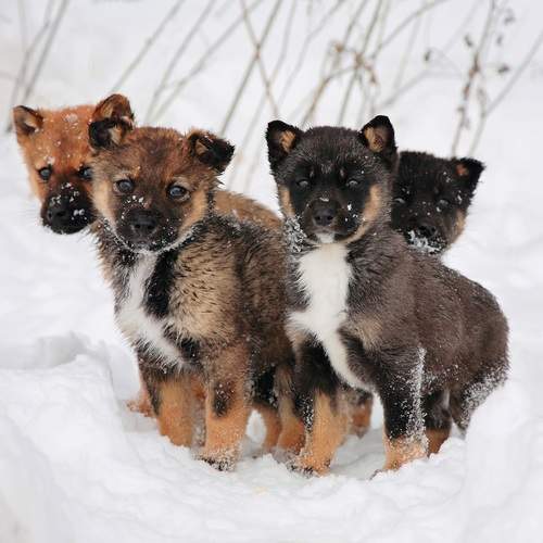 Photo #12785779