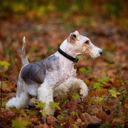Photo #12785793