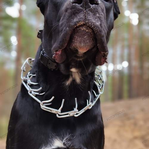 Photo #12785799