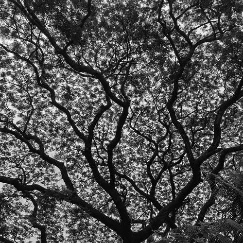 Neural network