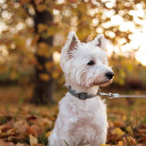 Photo #12785994