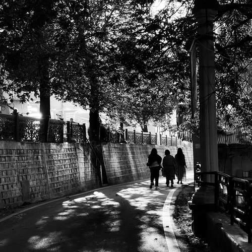 Photo #12786077