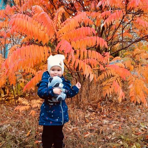 Photo #12786094