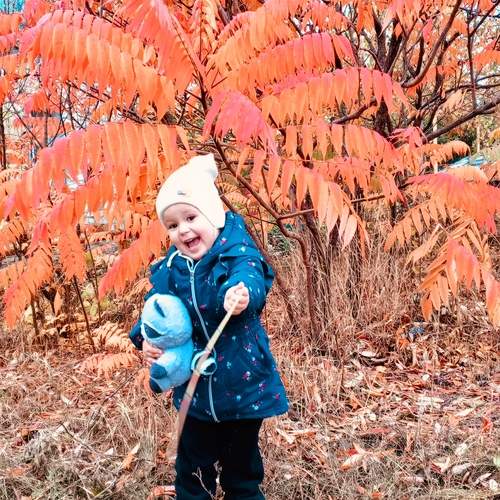 Photo #12786097