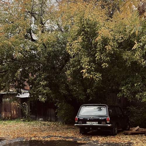 Autumn 2025