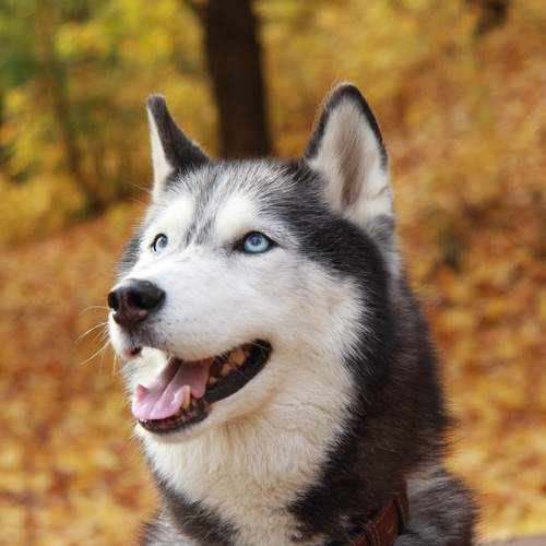 Photo #12786356