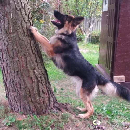 Photo #12786377