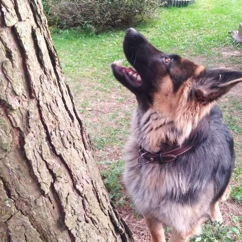 Photo #12786387