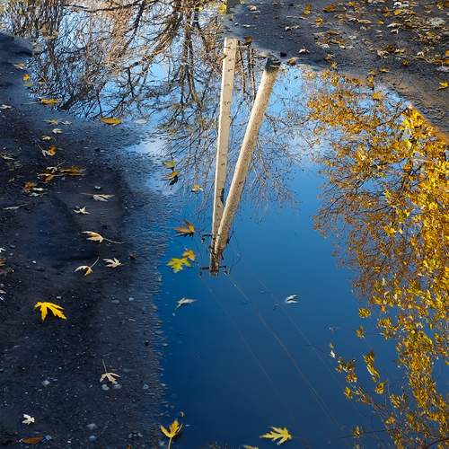 Photo #12786401