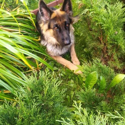 Photo #12786403