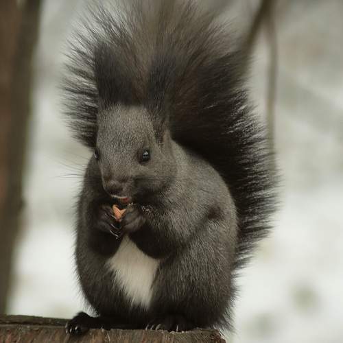 Photo #12786458