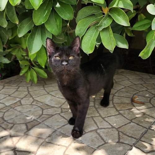 Photo #12786519