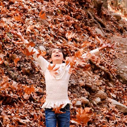 Photo #12786552