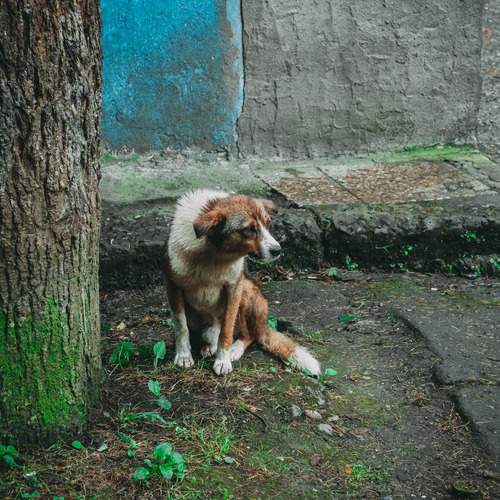Photo #12786739