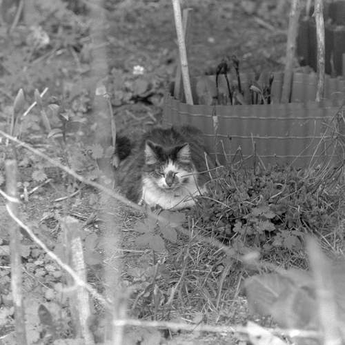 Photo #12786811