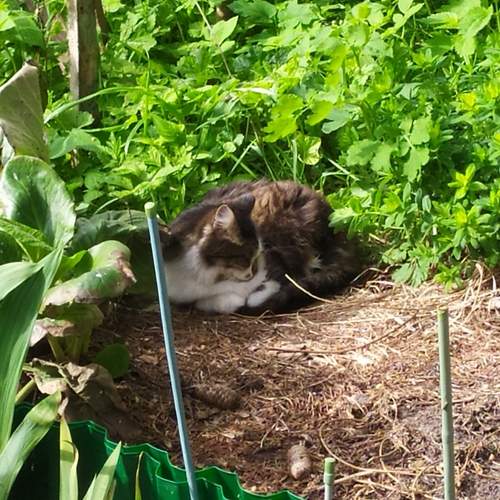 Photo #12786901