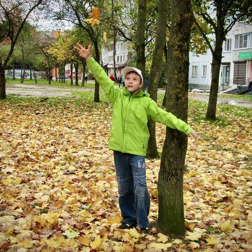 Золотая осень, золотое детство