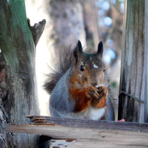 Photo #12787139