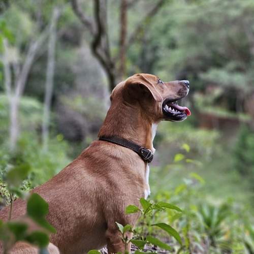 Photo #12787144