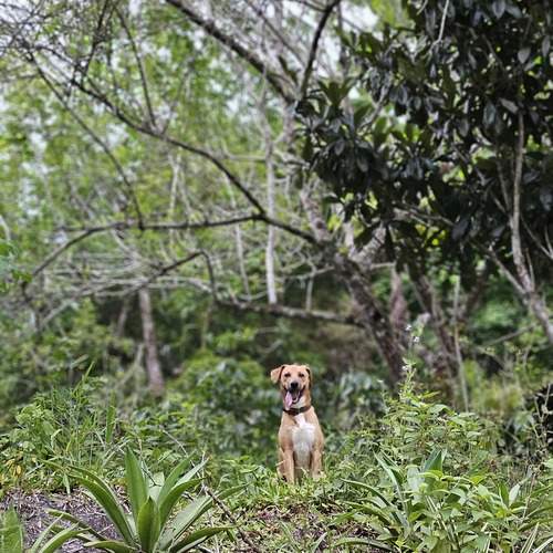 Photo #12787145