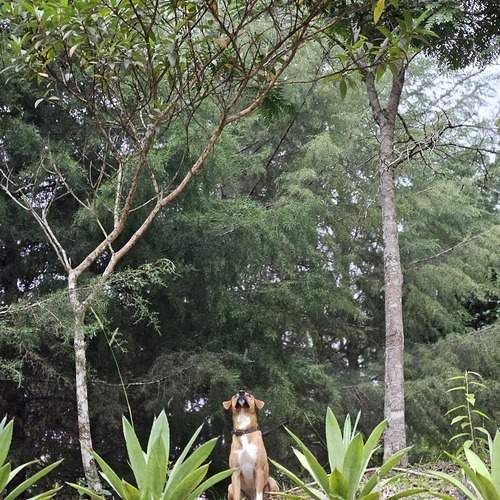 Photo #12787147