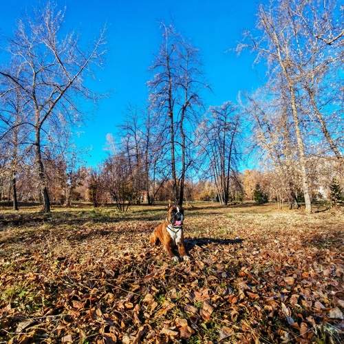 Photo #12787279