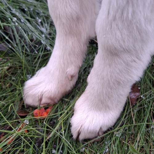Photo #12787394