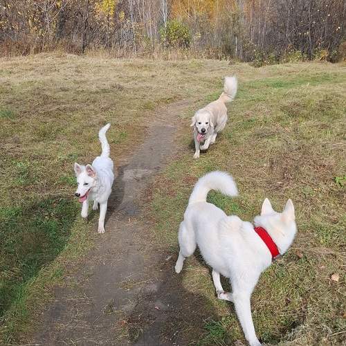 Photo #12787396