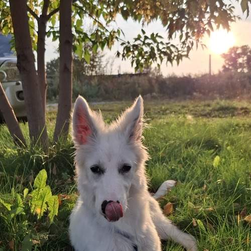 Photo #12787403