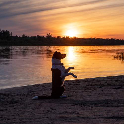 Photo #12787457