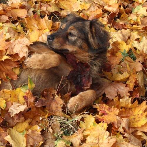 Photo #12787550