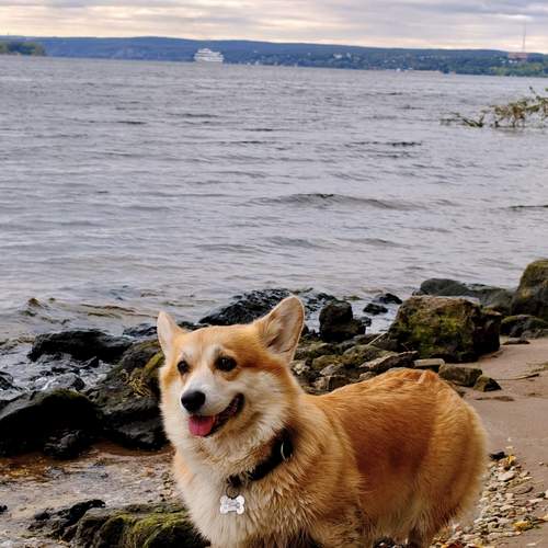 Photo #12787654