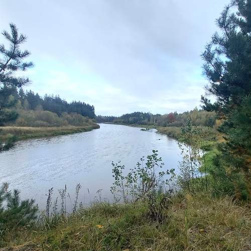 Photo #12787831